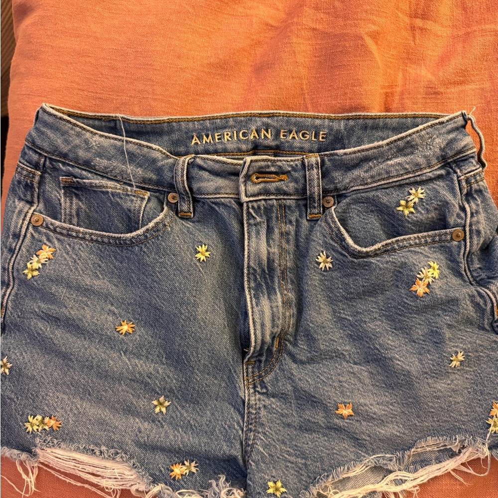 American Eagle Outfitters Blue Denim Shorts with Floral Embroidery